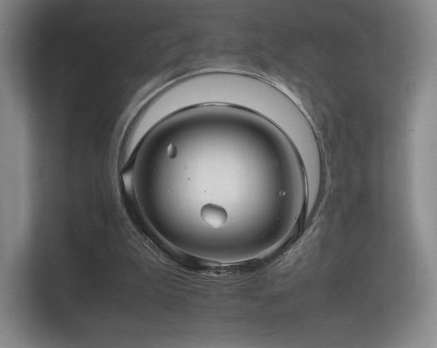 X0000112150199200908141221