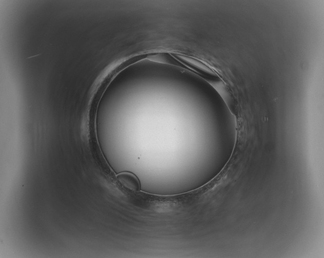 X0000112150200200908141221