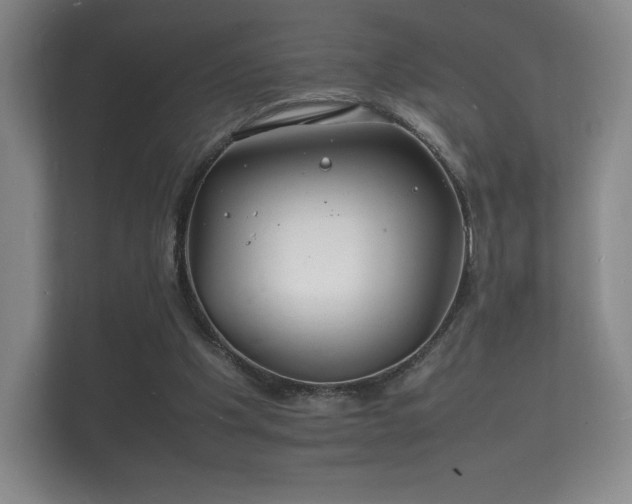 X0000112150201200908141221