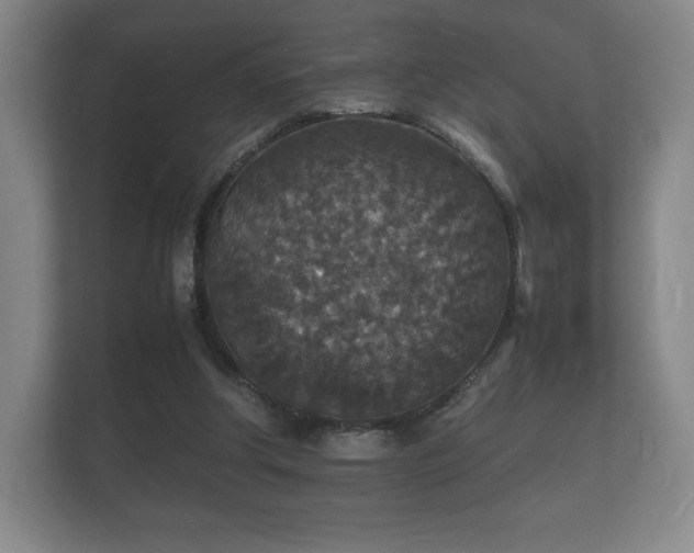 X0000112150202200908141221
