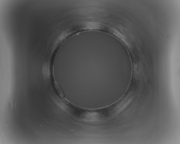 X0000112150203200908141221