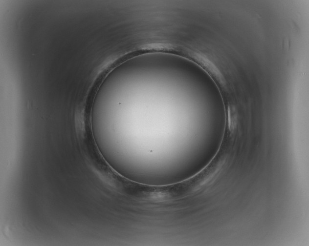 X0000112150204200908141221