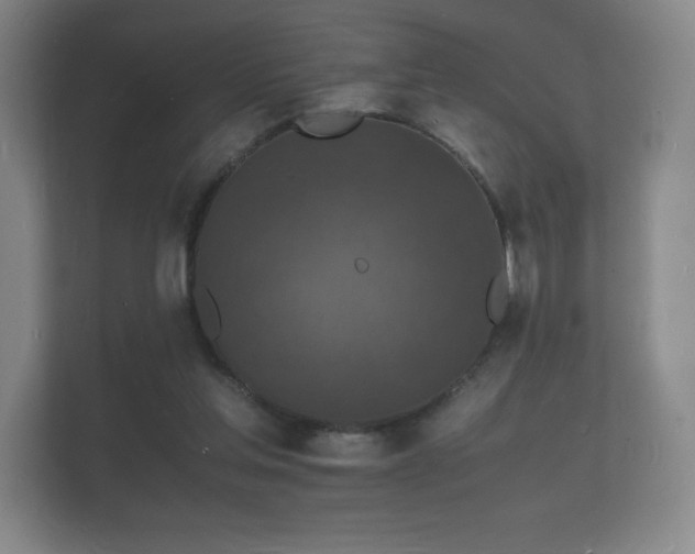 X0000112150205200908141221