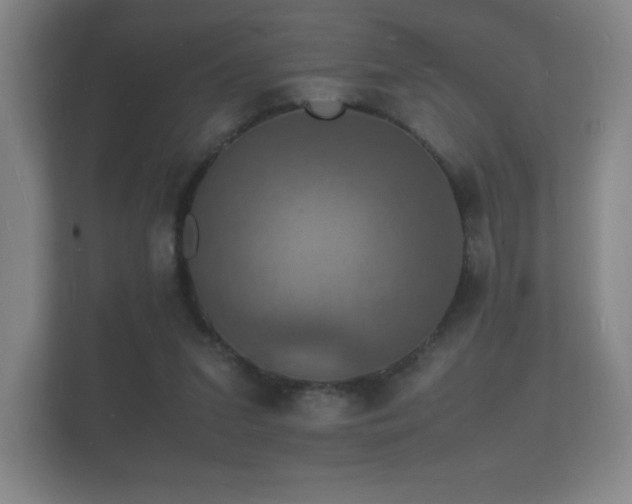 X0000112150207200908141221