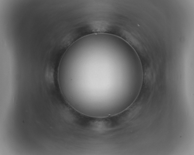 X0000112150209200908141221