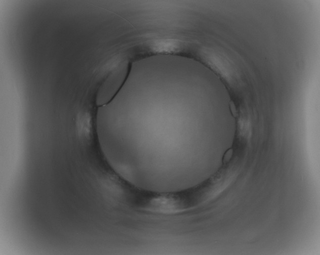 X0000112150211200908141221
