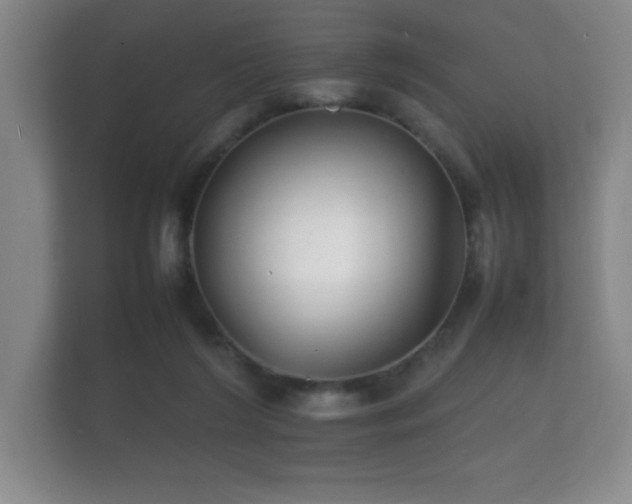X0000112150212200908141221
