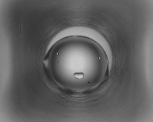 X0000112150215200908141221