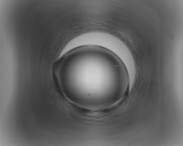 X0000112150221200908141221