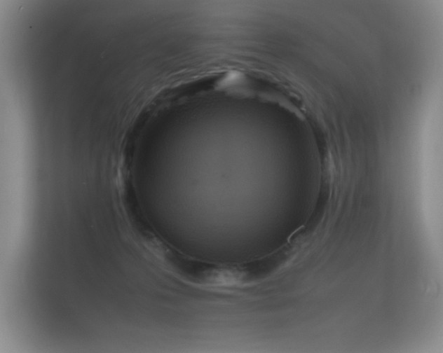 X0000112150223200908141221