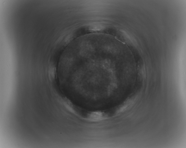X0000112150227200908141221