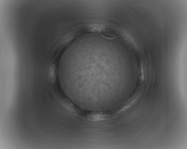 X0000112150228200908141221