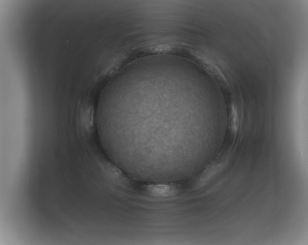 X0000112150230200908141221