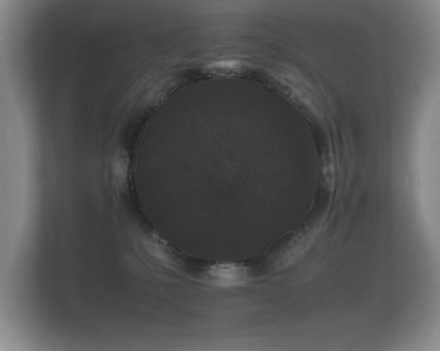 X0000112150231200908141221