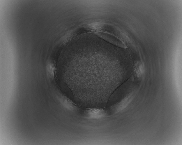 X0000112150235200908141221