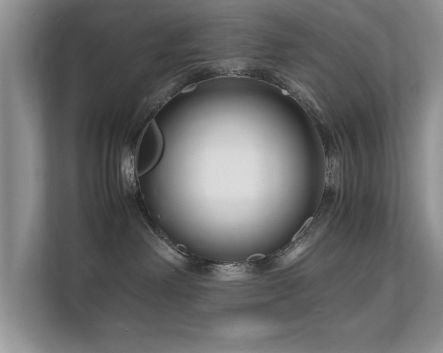 X0000112150238200908141221