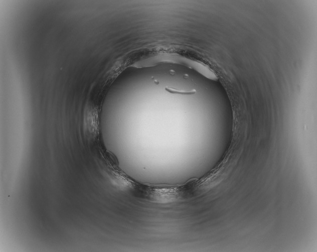 X0000112150240200908141221