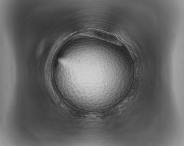 X0000112150241200908141220