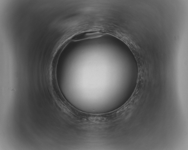 X0000112150242200908141220