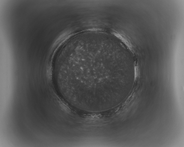 X0000112150243200908141220