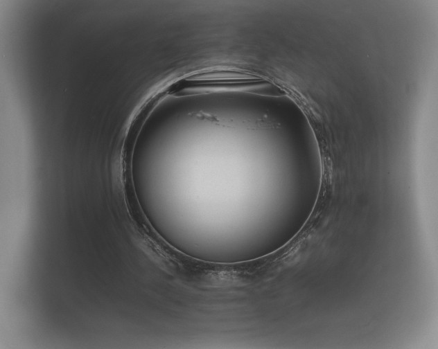 X0000112150244200908141220