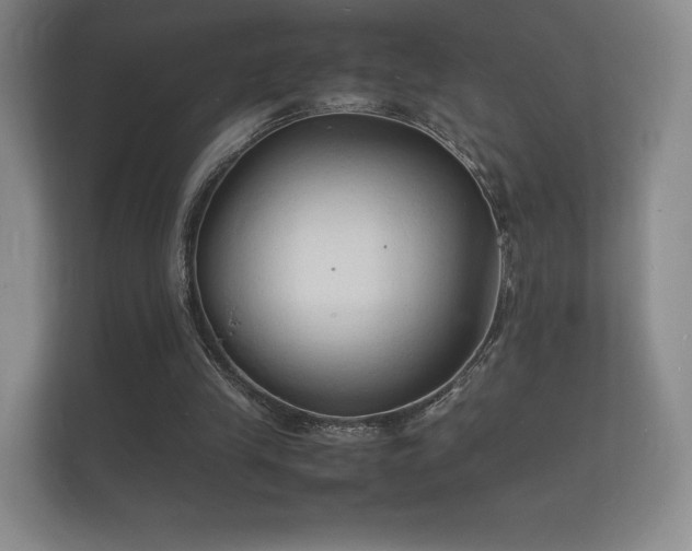 X0000112150245200908141220