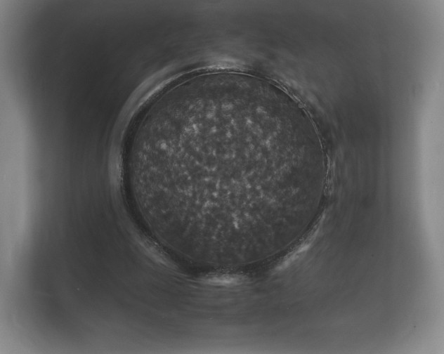X0000112150247200908141220