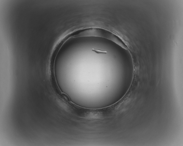 X0000112150248200908141220