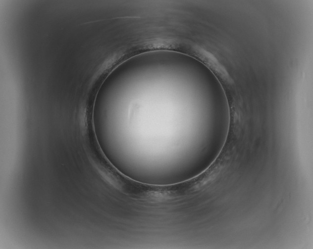 X0000112150250200908141220