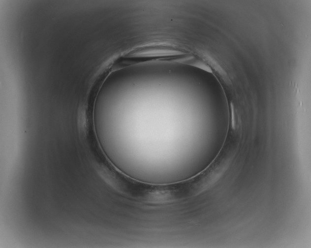 X0000112150252200908141220