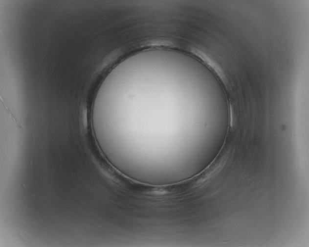 X0000112150253200908141220