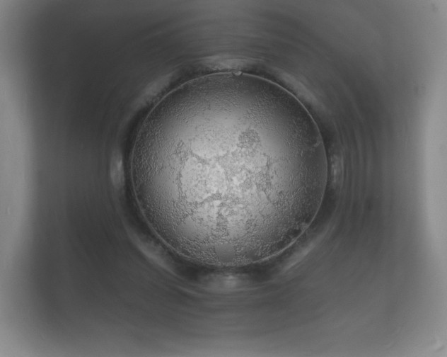 X0000112150254200908141220
