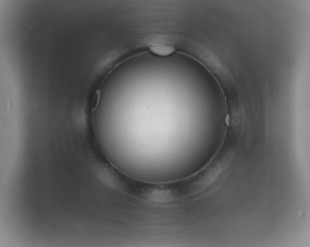 X0000112150256200908141220