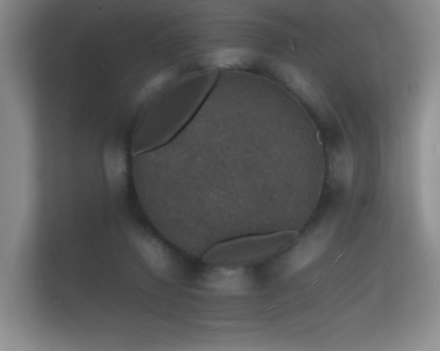 X0000112150260200908141220