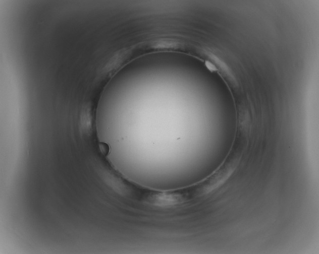 X0000112150261200908141220