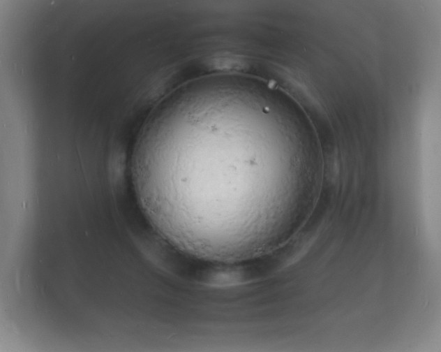 X0000112150263200908141220