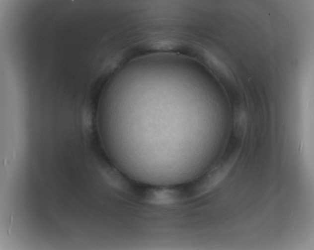 X0000112150268200908141220