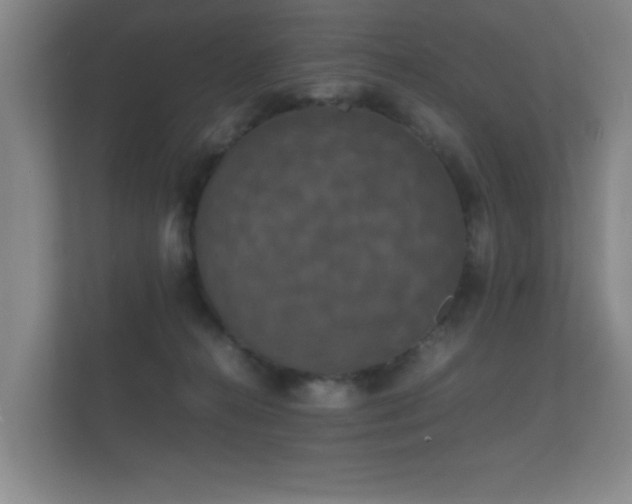 X0000112150272200908141220
