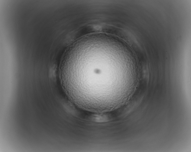 X0000112150275200908141220