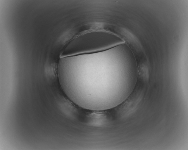 X0000112150280200908141220