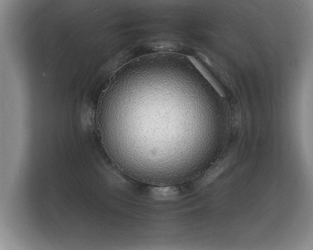 X0000112150281200908141220