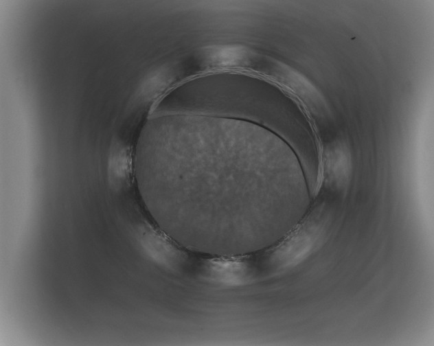 X0000112150284200908141220
