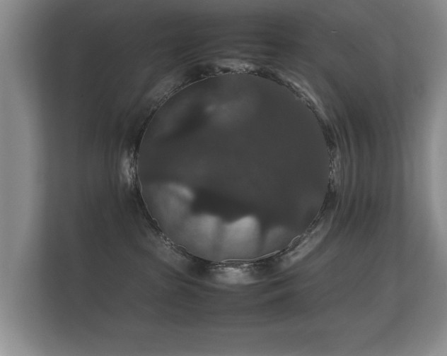 X0000112150285200908141220