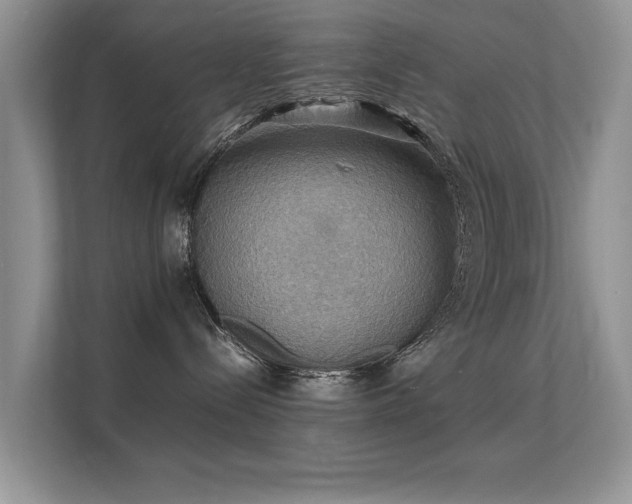 X0000112150288200908141221