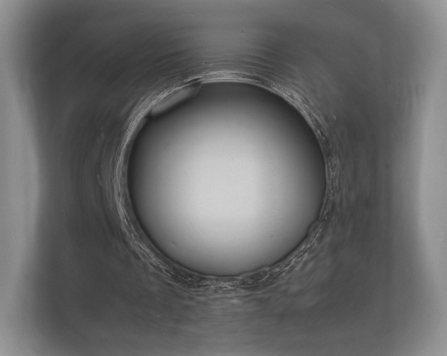 X0000112150289200908141220
