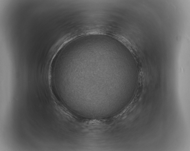 X0000112150290200908141220