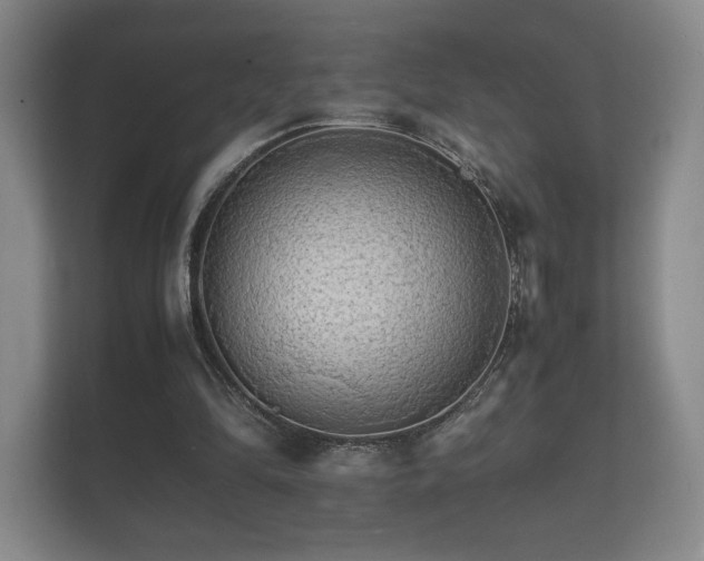 X0000112150294200908141220
