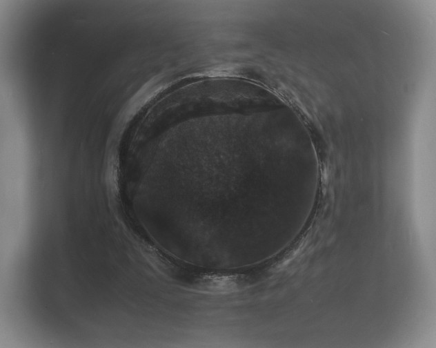X0000112150295200908141220