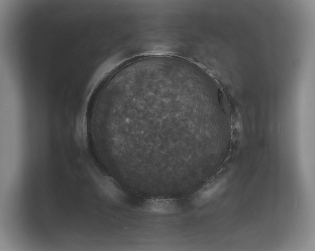 X0000112150296200908141220