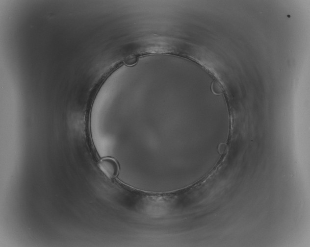 X0000112150297200908141220